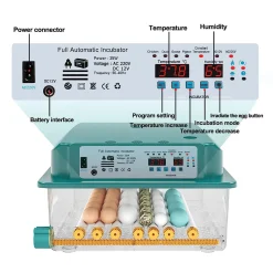 Garten- & Gewächshäuser Geschäft -Garten- & Gewächshäuser Geschäft c00faf43cdcb5d36fd24fe3d892b4ea5