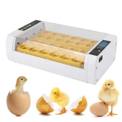 Garten- & Gewächshäuser Geschäft -Garten- & Gewächshäuser Geschäft c477c1ef28402e41a2f8bbc4b87748a1