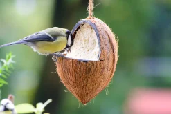 Dobar 23-teiliger Vogelfutter Spezialitäten-Mix Für Wildvögel, Inkl. Meisenknödel, 2700g Wildvogelfutter -Garten- & Gewächshäuser Geschäft c4b2c14f8fea089c8466d68504075dc8