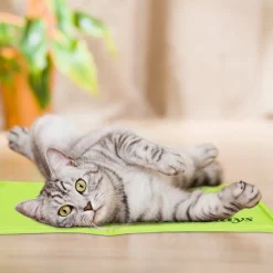 Relaxdays Grüne Kühlmatte Für Hunde -Garten- & Gewächshäuser Geschäft c7ad7496bad3b063d014589af9b187d8