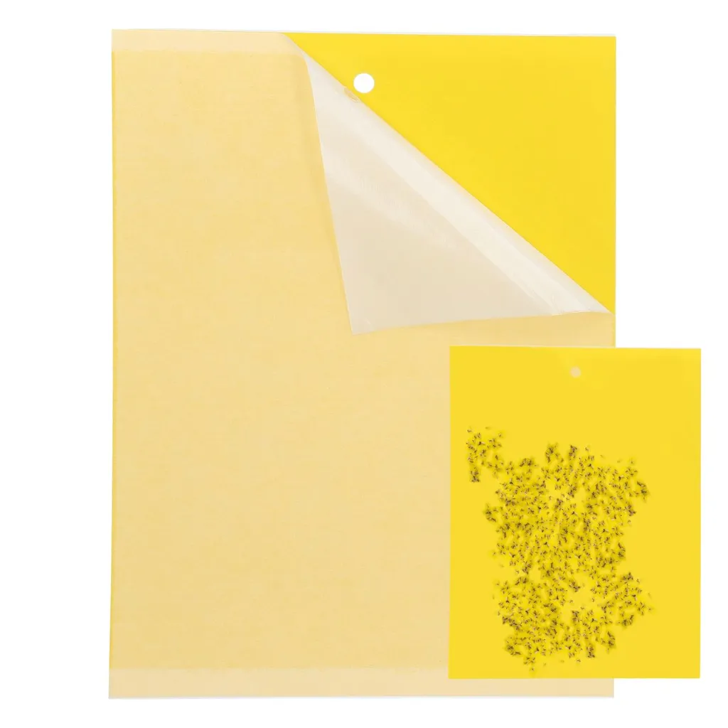 Mumbi 20x Gelbtafeln Gelbsticker Gelbfalle Insektenfalle Trauermücken Blattlaus Falle Insektenschutz 15 X 20 Cm 4 Mumbi 20x Gelbtafeln Gelbsticker Gelbfalle Insektenfalle Trauermücken Blattlaus Falle Insektenschutz 15 X 20 Cm – Bild 4