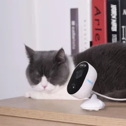 Reolink Lumus 1080P WLAN IP Überwachungskamera Außen Mit Spotlight, IR-Nachtsicht, Sirene Alarm, 2-Wege-Audio, PIR Bewegungserkennung, 128 Micro SD-Kartenslot, Cloudspeicherung, Weiß 49 Reolink Lumus 1080P WLAN IP Überwachungskamera Außen Mit Spotlight, IR-Nachtsicht, Sirene Alarm, 2-Wege-Audio, PIR Bewegungserkennung, 128 Micro SD-Kartenslot, Cloudspeicherung, Weiß -Garten- & Gewächshäuser Geschäft c84997283c689853ec8cc8b03d271897