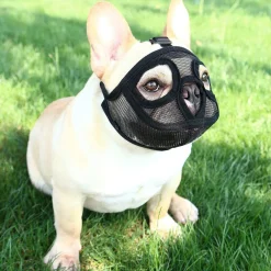 Mmgoqqt Maulkorb Für Hunde Mit Kurzer Schnauze Aus Netzgewebe, Für Bulldogge, Beißen, Bellen, Kauen, Verstellbar,Black,S -Garten- & Gewächshäuser Geschäft cbb0c5a0ba8ef2218f8abbfcb1e89ea2