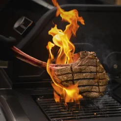 Maxxworld LANDMANN Gasgrill Triton 4.1 MaxX 120 Cm Schwarz Grillwagen Grill Brenner Grillstation BBQ Gas MaxX-Zone Für Maximale Hitze Emailliertem Gusseisen 18 Maxxworld LANDMANN Gasgrill Triton 4.1 MaxX 120 Cm Schwarz Grillwagen Grill Brenner Grillstation BBQ Gas MaxX-Zone Für Maximale Hitze Emailliertem Gusseisen -Garten- & Gewächshäuser Geschäft d72a27fa74597e9bd6a7d77981da8855