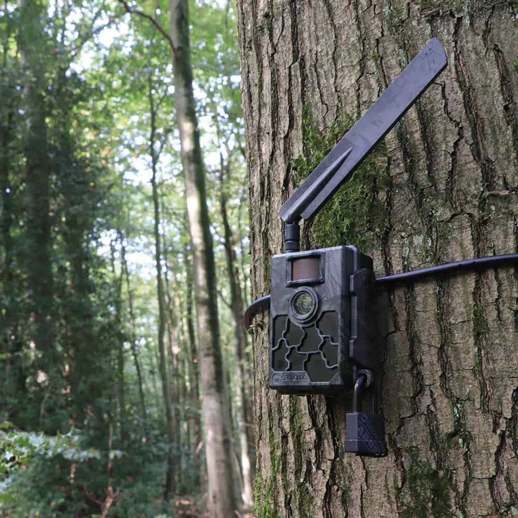 Willfine SECACAM 5000 Explorer LTE 60° Winkel 7 Willfine SECACAM 5000 Explorer LTE 60° Winkel – Bild 7