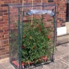 Garden Pleasure Tomaten Gewächshaus 150x100 Cm Folienzelt