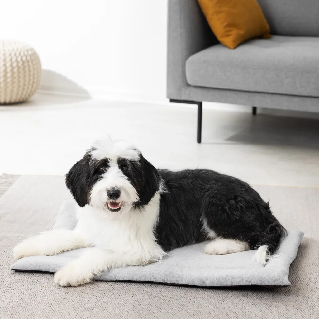 Navaris Hundebett Hundekissen Decke Für Reisen - Bett Liegedecke Für Hunde - Hundematte Hundedecke Kissen Reisedecke - Waschbar 2 Navaris Hundebett Hundekissen Decke Für Reisen - Bett Liegedecke Für Hunde - Hundematte Hundedecke Kissen Reisedecke - Waschbar – Bild 2