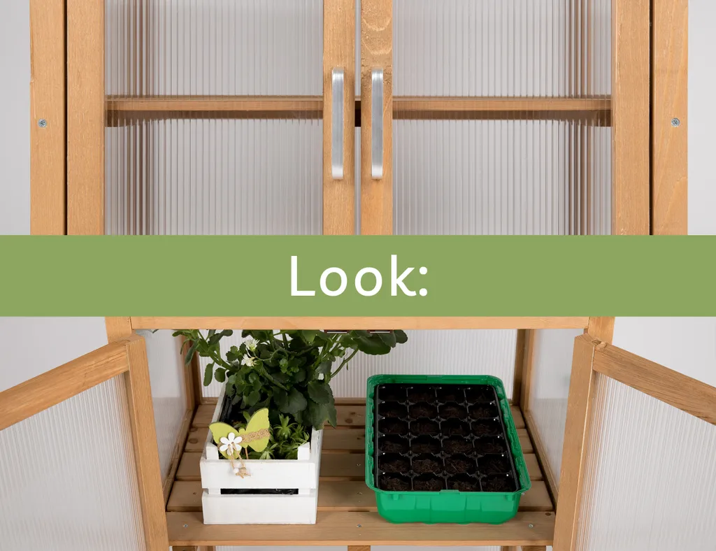 Needs&wants Mini Gewächshaus Klein Winterfest Aus Holz Für Balkon Garten Zimmer Indoor, Frühbeet Hochbeet Treibhaus Anzucht Aufzucht Von Pflanzen Pflanzschrank Anzuchthaus, 58x43x76 Cm, Polycarbonat, Braun 4 Needs&wants Mini Gewächshaus Klein Winterfest Aus Holz Für Balkon Garten Zimmer Indoor, Frühbeet Hochbeet Treibhaus Anzucht Aufzucht Von Pflanzen Pflanzschrank Anzuchthaus, 58x43x76 Cm, Polycarbonat, Braun – Bild 4