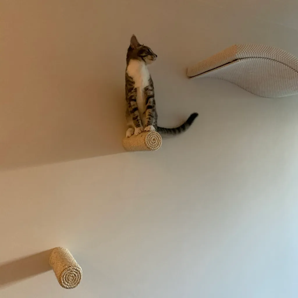 Capri Corner Wand Kletter Stufe Aus Sisal Für Katzen 4 Capri Corner Wand Kletter Stufe Aus Sisal Für Katzen – Bild 4