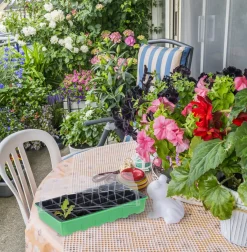 Relaxdays Zimmergewächshaus 24 Fächer 3er Set -Garten- & Gewächshäuser Geschäft e063488debdd6af2f273b0c8f4fb0641