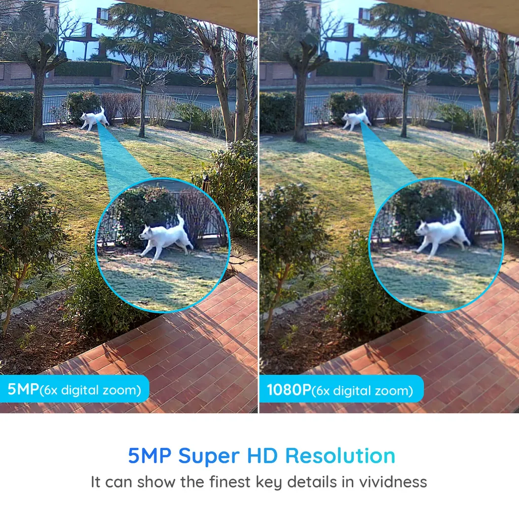 Reolink 5MP Überwachungskamera Set, 4XPoE IP-Überwachung Aussen Mit Smarter Personenerkennung Und Fahrzeugerkennung, 8CH 2TB HDD NVR Für 24/7 Videoüberwachung, RLK8-510B4-A Schwarz 4 Reolink 5MP Überwachungskamera Set, 4XPoE IP-Überwachung Aussen Mit Smarter Personenerkennung Und Fahrzeugerkennung, 8CH 2TB HDD NVR Für 24/7 Videoüberwachung, RLK8-510B4-A Schwarz – Bild 4