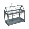 Esschert Design Gewächshaus M. Verschließbarem Deckel, Pflanzenhaus Größe M, 36 X 19 X 32,7 Cm, Eisen/Glas Mit Tragegrifff, Stabile Standfüße