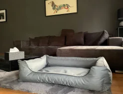 M&O Outdoor Hundebett Milo XL 100 X 75 Cm Wasserfest Und Waschbar 14 M&O Outdoor Hundebett Milo XL 100 X 75 Cm Wasserfest Und Waschbar -Garten- & Gewächshäuser Geschäft e826c60cd71054a318eabeb2f02eb085