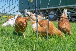 Horizont Group Horizont Geflügelnetz Easy 25 M, 120 Cm, Doppelspitze, Ohne Strom -Garten- & Gewächshäuser Geschäft e97f70d05db868215efa00f50b8cc2b3