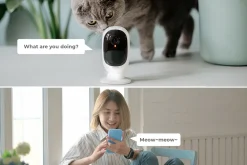 Reolink Akku Überwachungskamera Aussen, 1080p Kabellose WLAN Batterie IP Kamera Mit PIR Bewegungsmelder, 10m Sternenlicht-Nachtsicht, SD-Kartenslot, 2,4Ghz WiFi, 2-Wege-Audio, Argus 2 31 Reolink Akku Überwachungskamera Aussen, 1080p Kabellose WLAN Batterie IP Kamera Mit PIR Bewegungsmelder, 10m Sternenlicht-Nachtsicht, SD-Kartenslot, 2,4Ghz WiFi, 2-Wege-Audio, Argus 2 -Garten- & Gewächshäuser Geschäft eccd757dabfc313c2fdf9c3b2e76c92c