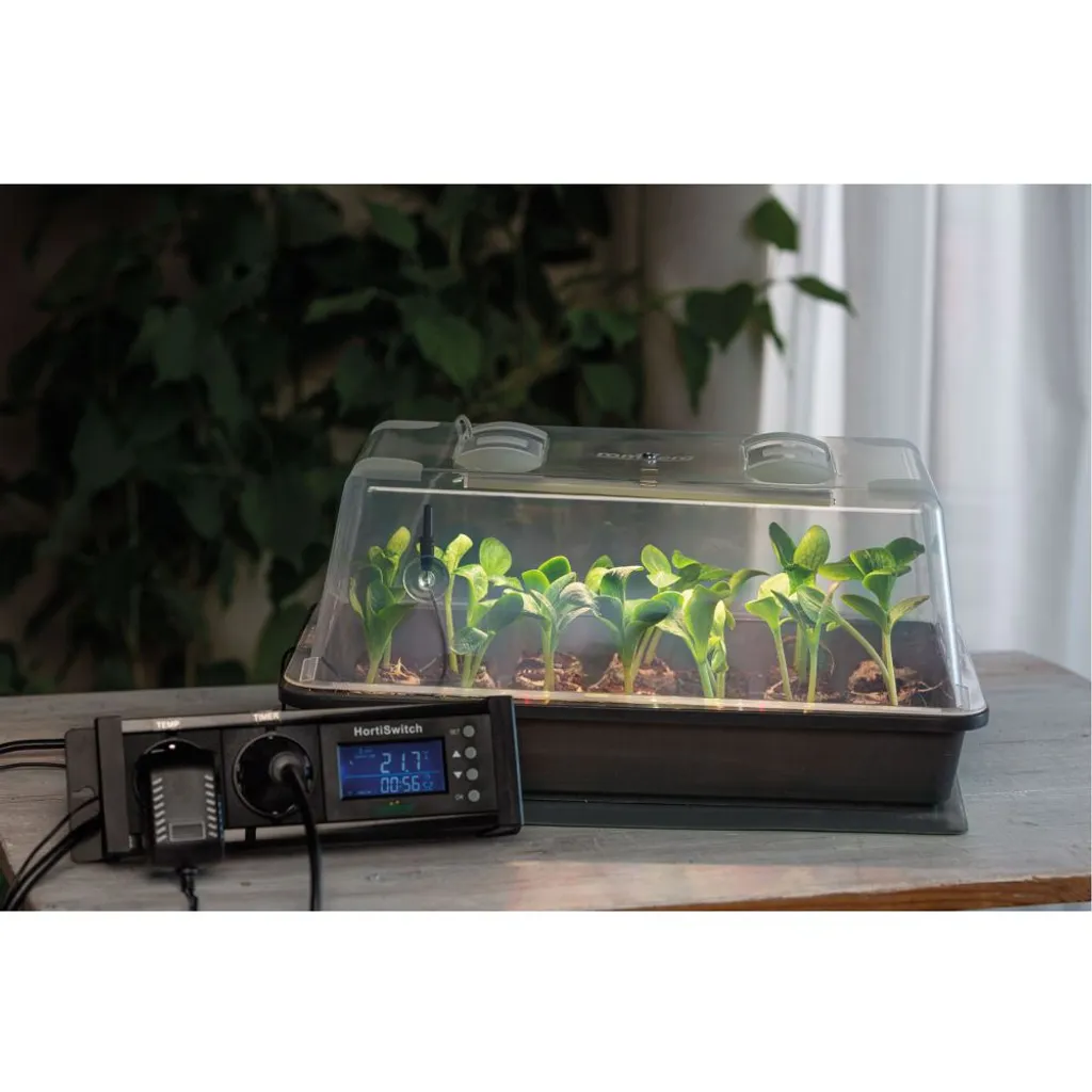 Romberg Climatic M LED Gewächshaus 38 X 24 X 19 Cm + Heizmatte 1 Romberg Climatic M LED Gewächshaus 38 X 24 X 19 Cm + Heizmatte