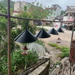 Jesunfuzhu 12 Zoll Eichhörnchen Schutz Schallwand Schwarz Für Vogelfutter Futterstation Futterhaus Sonstiges Kleintierzubehör -Garten- & Gewächshäuser Geschäft fceea6c1705eae003be915badaf51aff 1